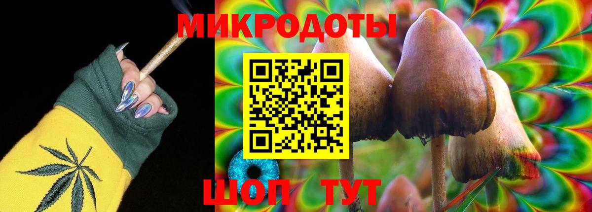 Псилоцибиновые грибы мицелий Конаково